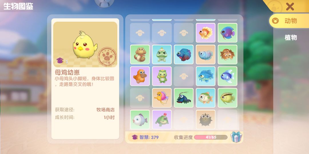动态图片 2