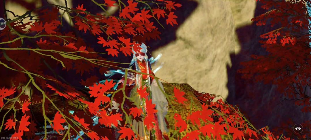 记:无龙套爬栖龙峰 2