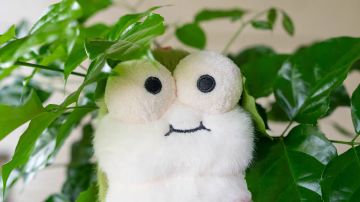 新活动又开始了