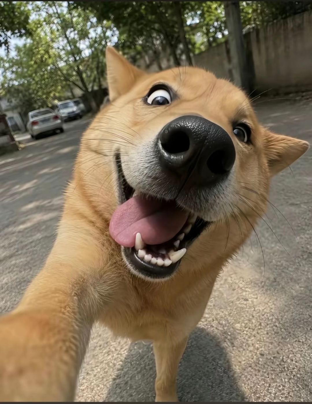 赌狗 2