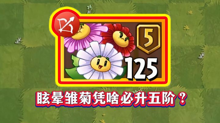 中文版：眩晕雏菊凭啥必升五阶？截图