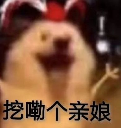 动态图片 3