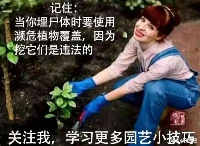 论坛打卡第一天 1