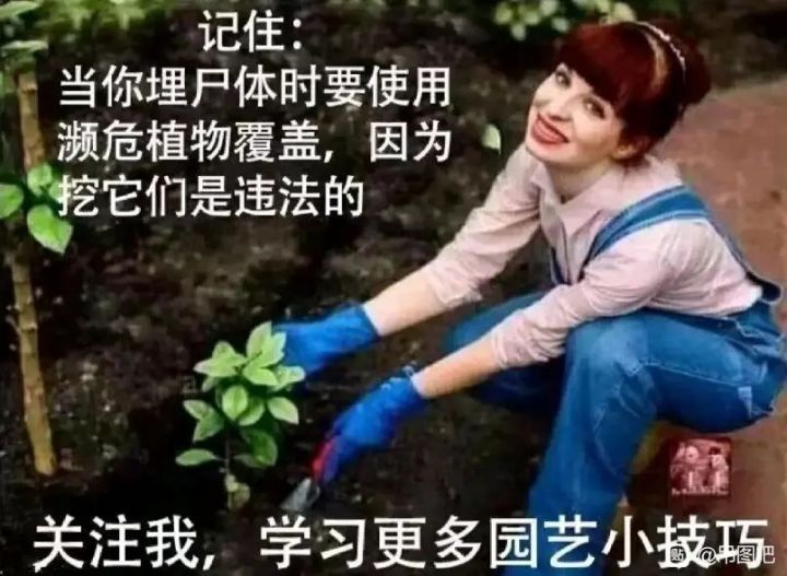 论坛打卡第一天截图