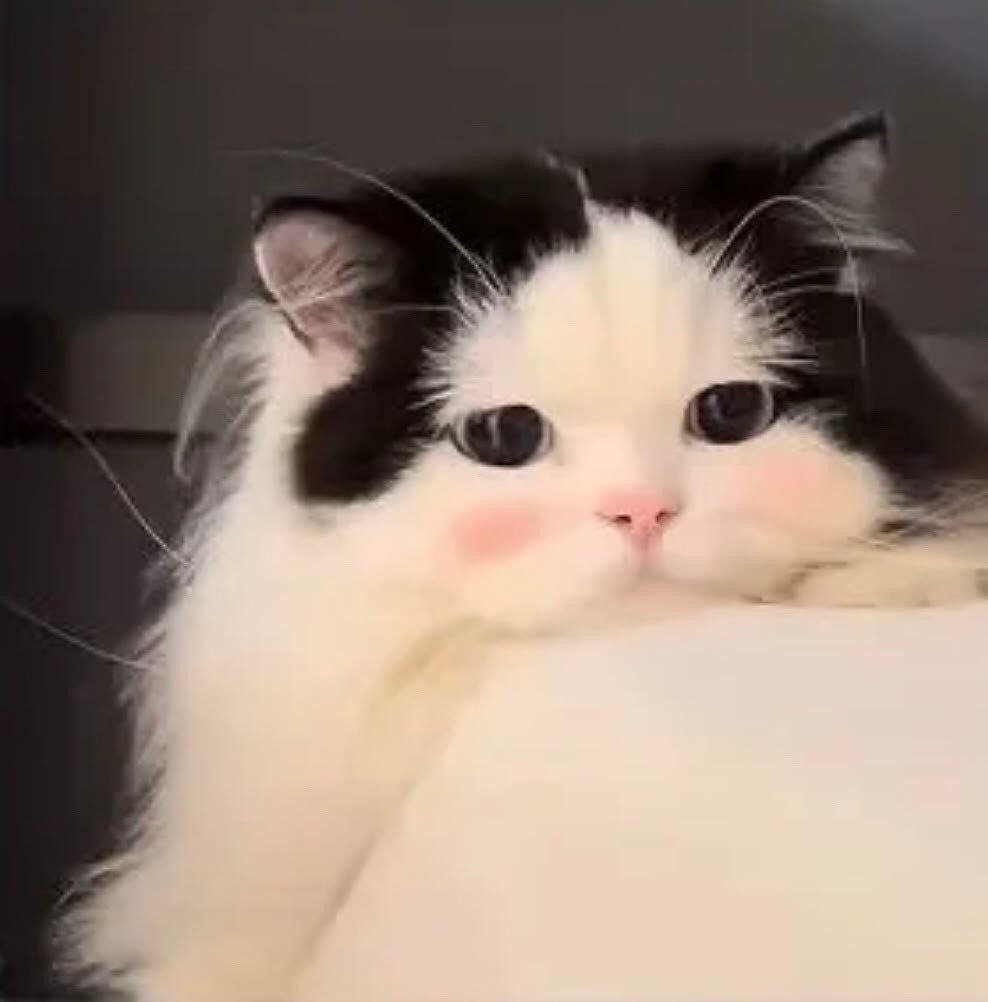有码 1