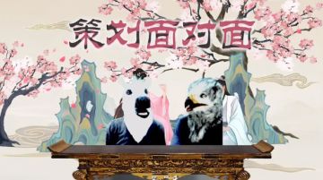 【直播回顾】快来看看马老实的实装表现吧！