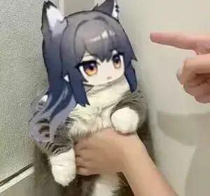 萌新裙招募友友啦! 2