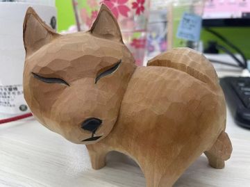 肉肉周报3.0——碎碎念第8期·藏狐~狗子~傻傻分不清~