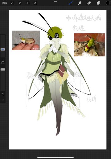 ⚠️蛾子预警⚠️画不完了但是也发