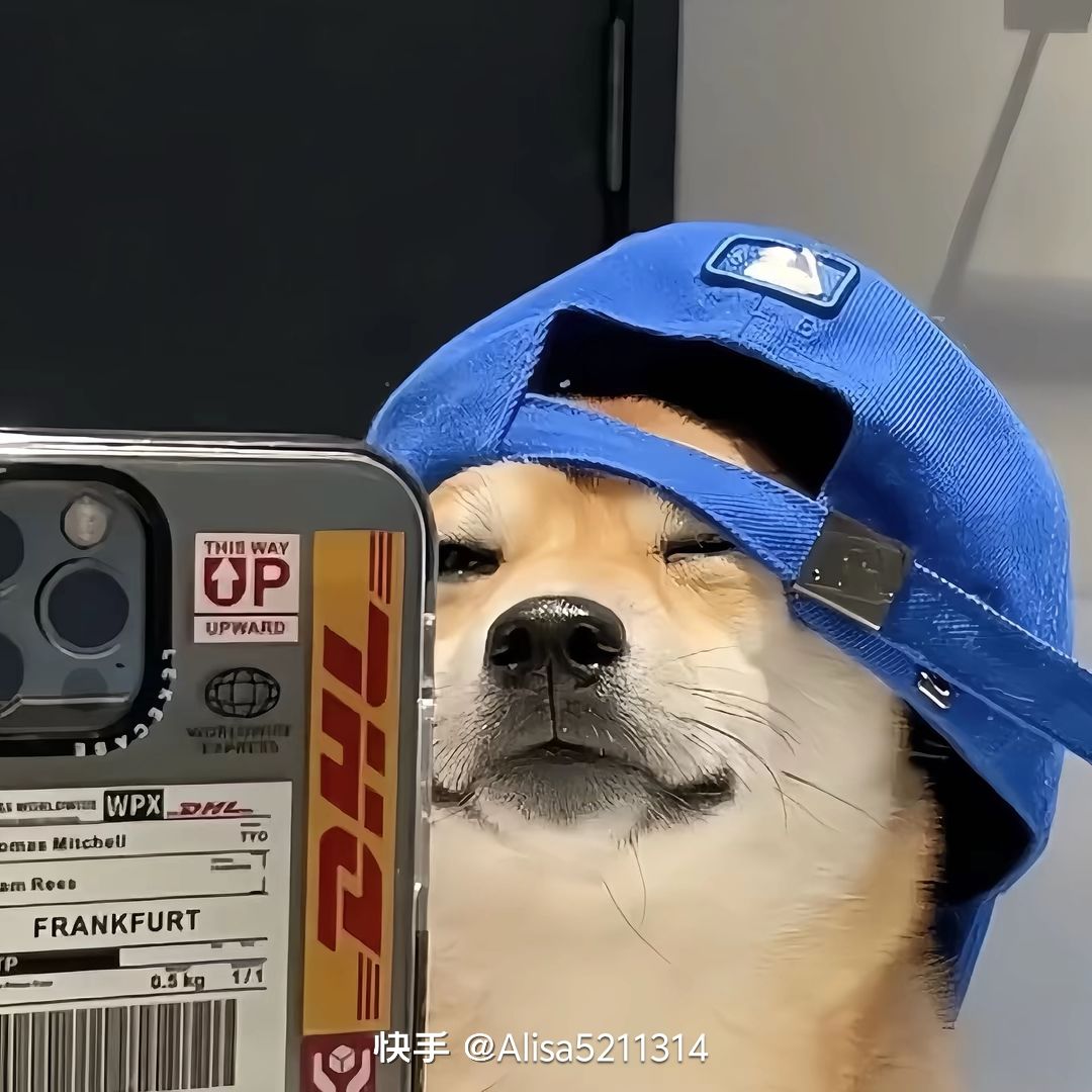 666666 1