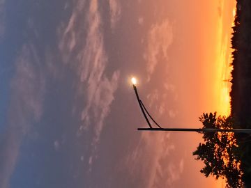 黑暗料理王 9.8 米全球购（红玫瑰）