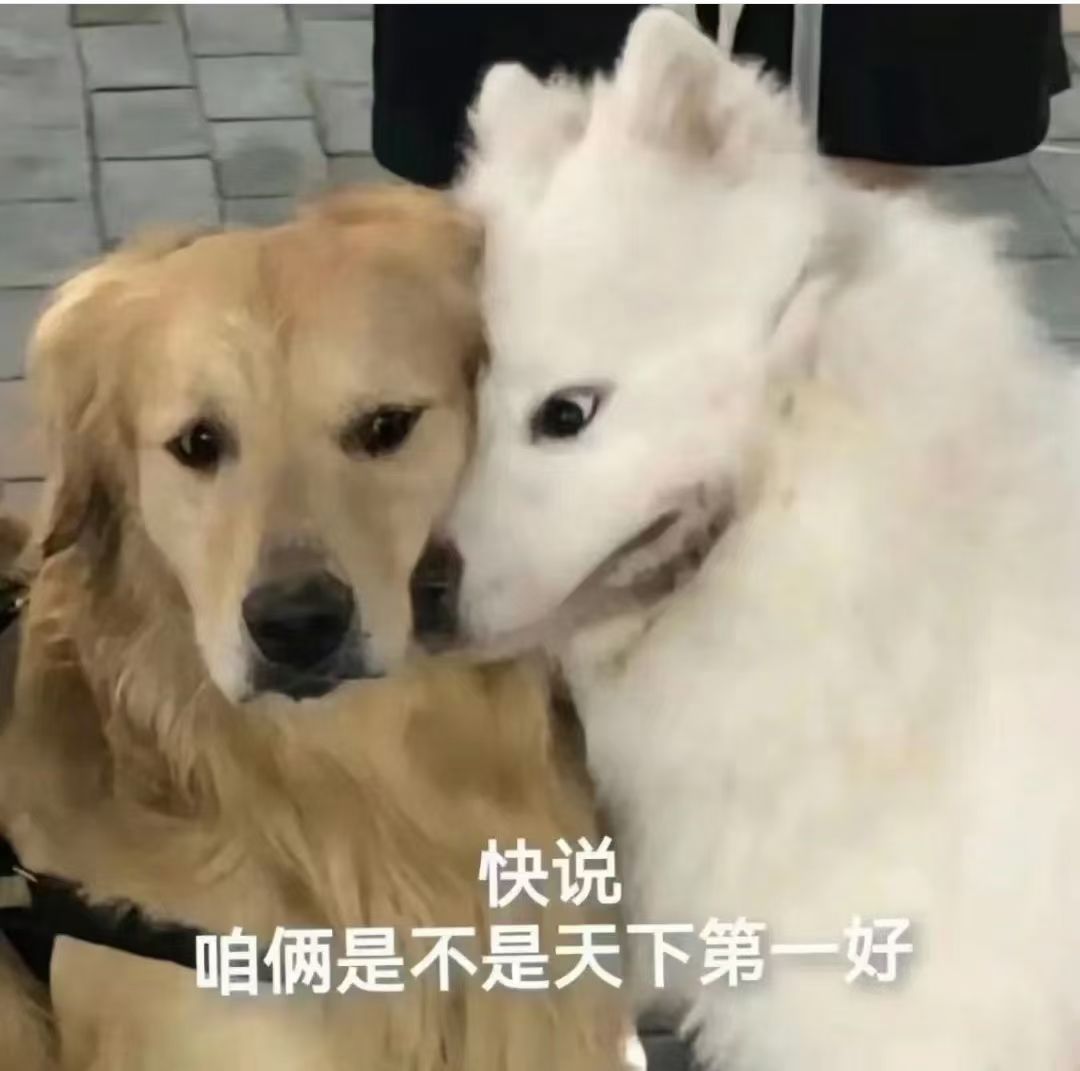本命灵胚怎么选？ 2