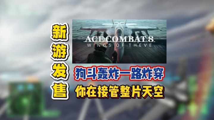 狗斗轰炸一路炸穿,你在接管整片天空截图