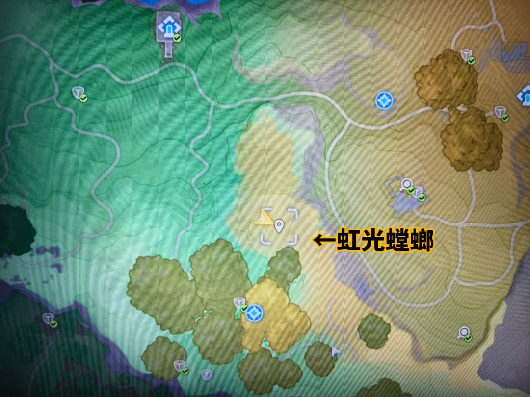 虹光螳螂、刺剑玫(鸢尾花海和青石台) 2