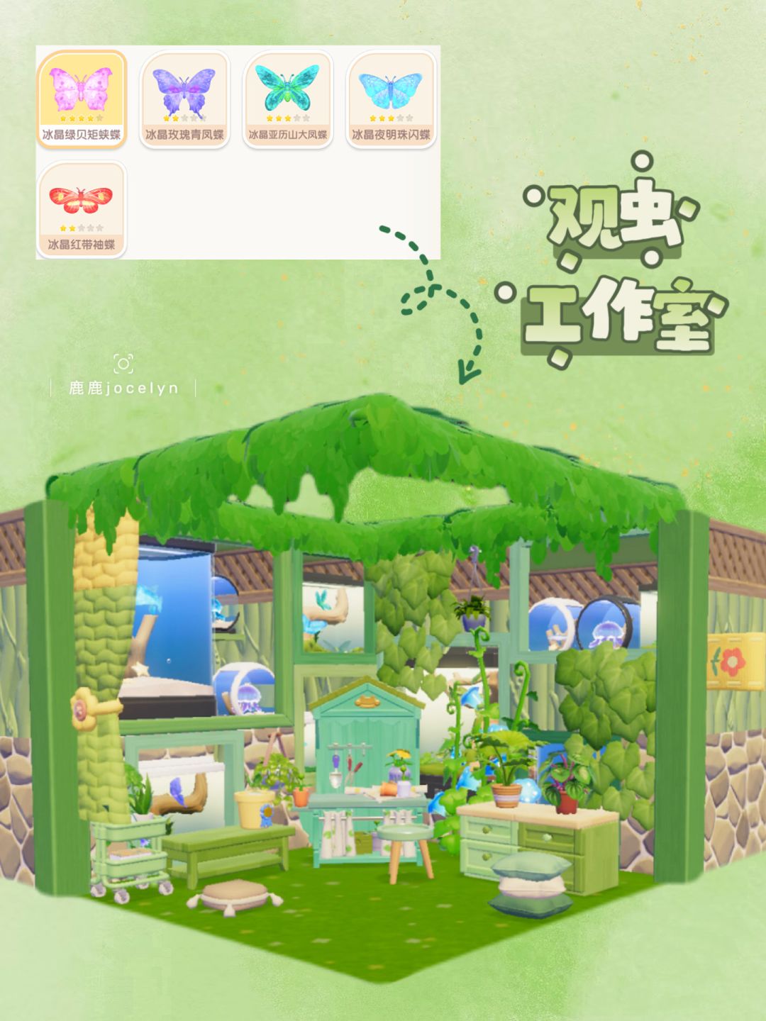抓到的蝴蝶可以做观虫工作室哦 1