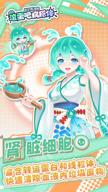 🌟 肾脏细胞的贴贴介绍时间！✨