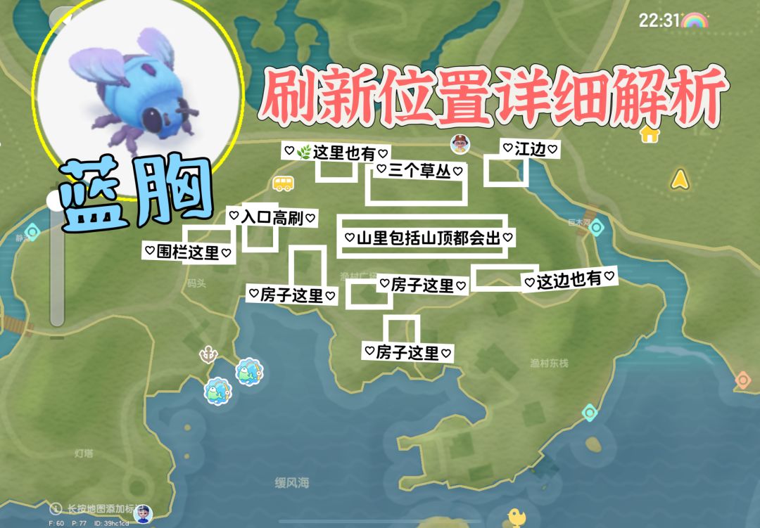 捕虫难点：小镇蓝胸木蜂刷新点及毕业次数 2