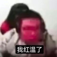 气孕了 6