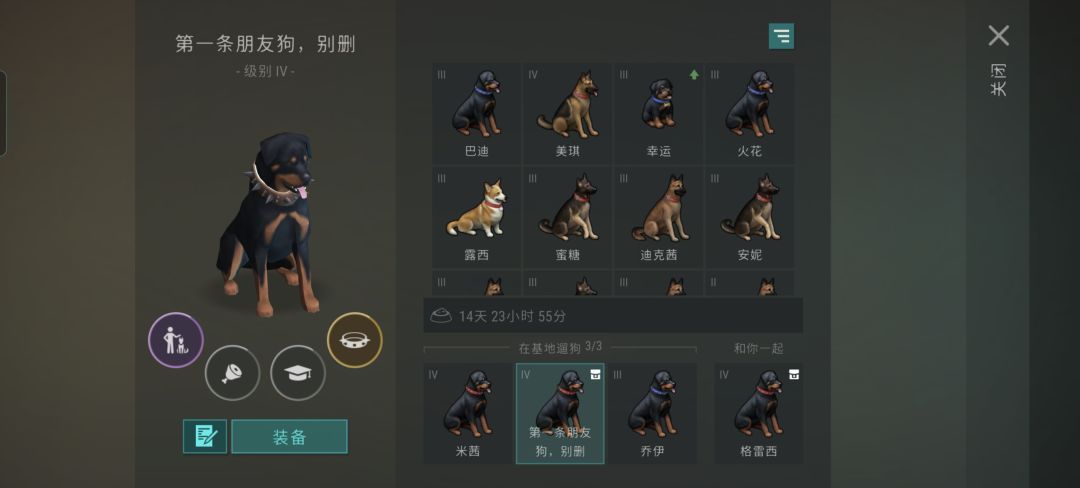 搞不懂所谓的序列,一年多养了大概三百条狗 2