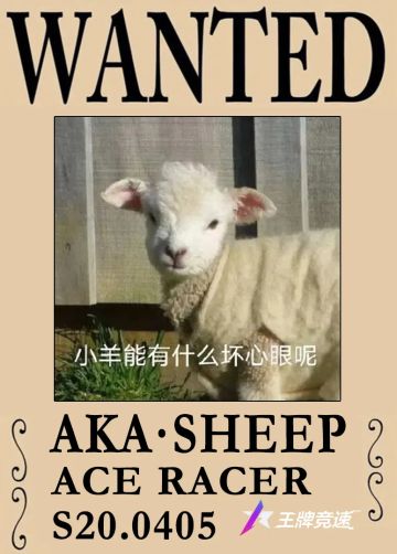 速度节开展大型“扫咩”行动，部分成员已落网