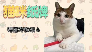 《猫咪纸牌》猫界冷知识⑥-- 猫咪的 "地位观"🐾