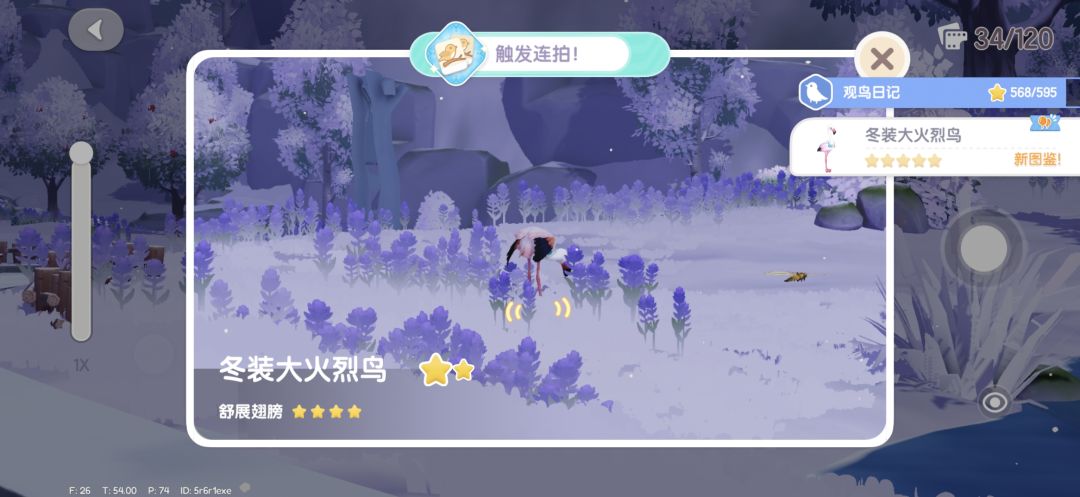 心动小镇冰雪季限定鸟攻略 2