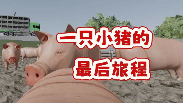 从猪圈到屠宰场，这是一段令人落泪的旅程。截图