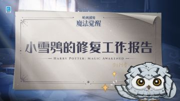 ✦小雪鸮的修复工作报告✦
