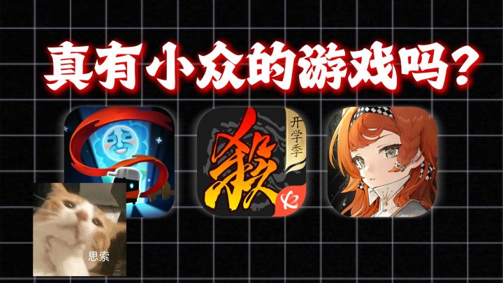 冷知识:在中国,追求小众游戏是个大众的行为截图
