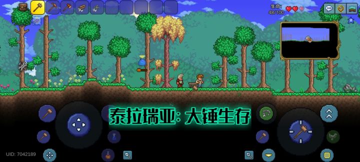 在泰拉瑞亚里只用锤子🔨通关全部BOSS截图