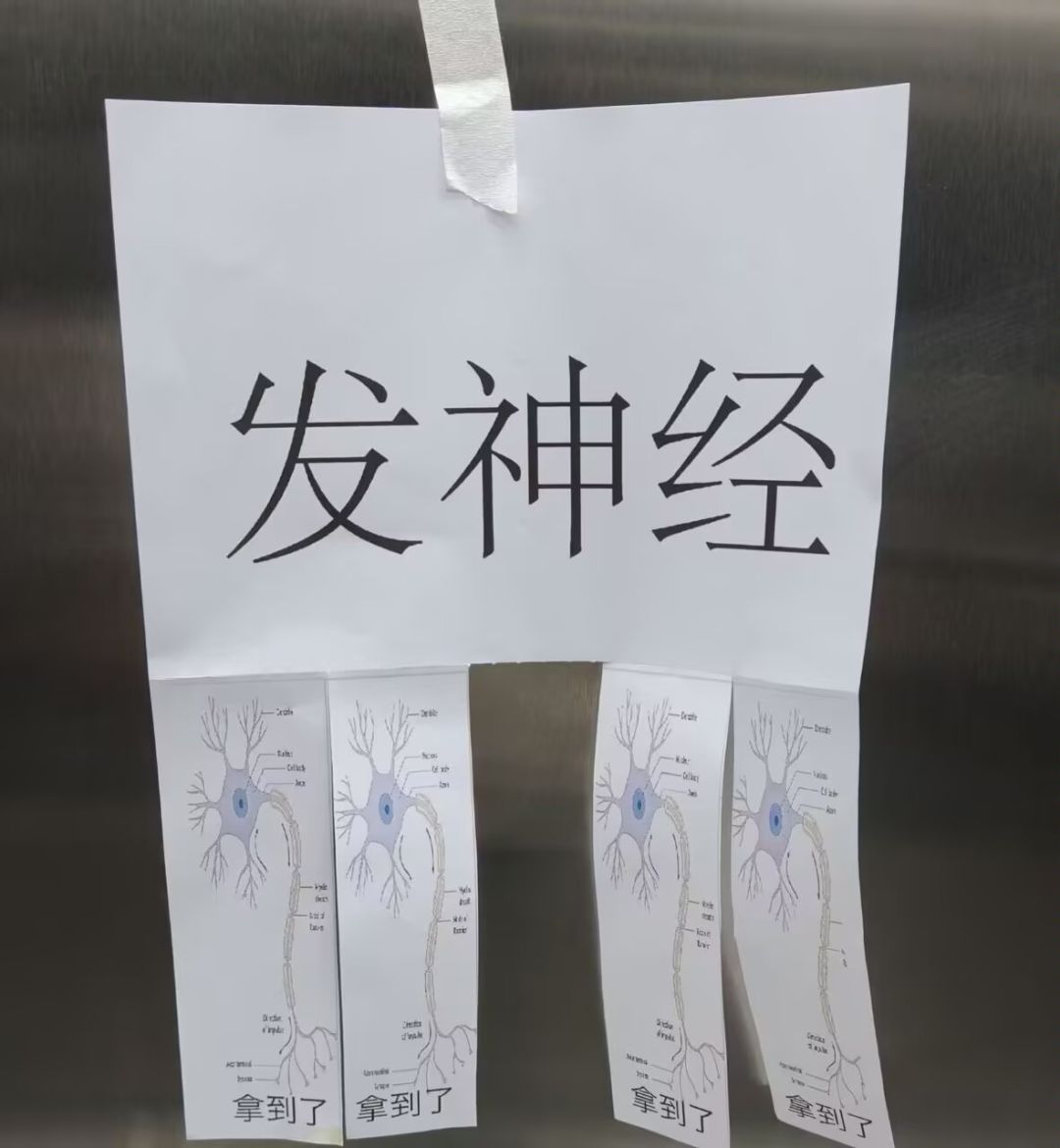 有无0氪党肝帝 1