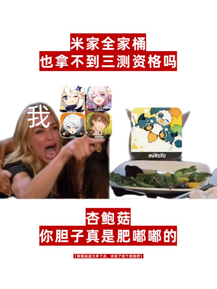 等待星布谷地三测资格的我就这样截图