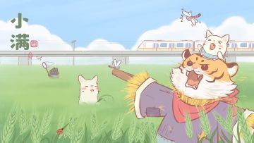 猫咪和汤| 小满未满，爱意满满