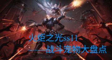 火炬之光新手必看（三）——ss11战斗契灵篇