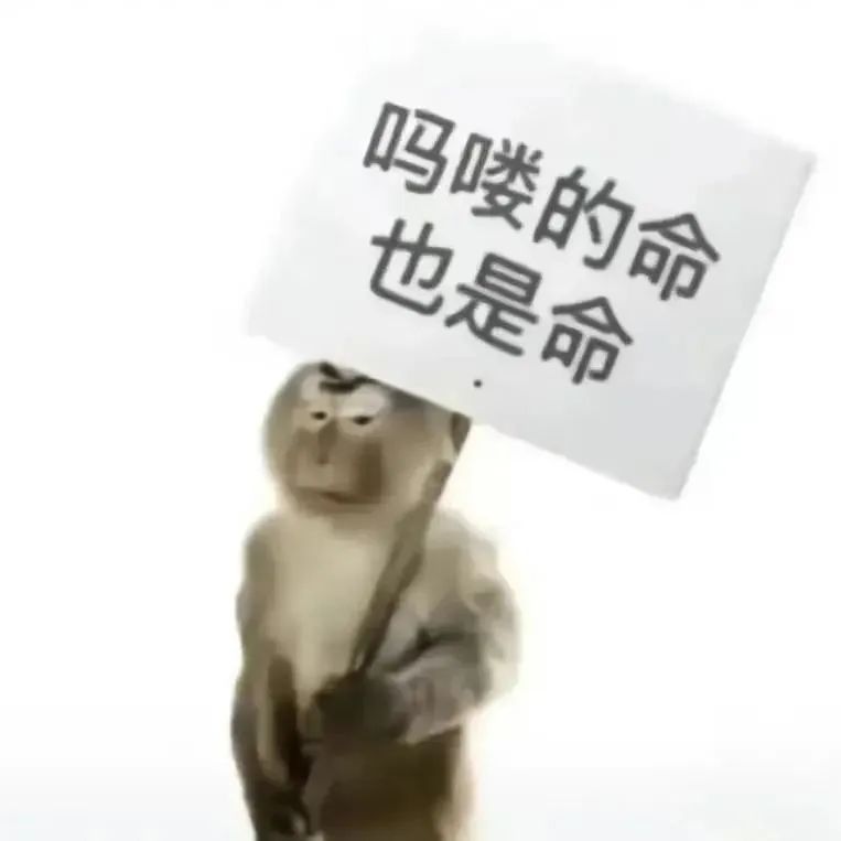 求解 1