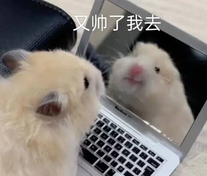 制作人无法接受反馈信号时间截图