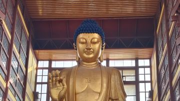 锐/钝增：我性价比最高？真的假的？？