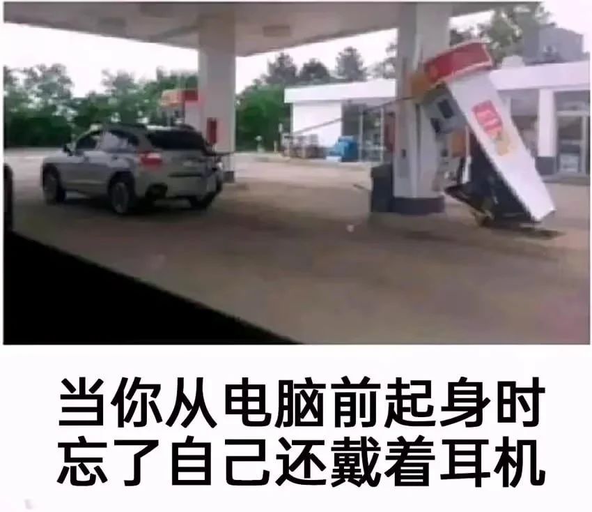 今日份梗图分享 3