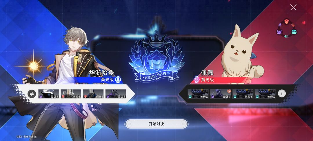 就决定是你了!毛球 2