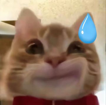 是不是目前即时制就这个能玩了