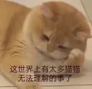 开局新手池抽了个瓦尔特,还要继续抽吗? 1