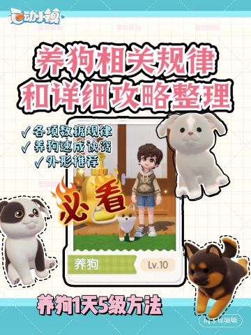 三天升10级 心动小镇养狗详细攻略