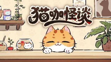 白天撸猫，晚上守规则？这家猫咖不太对劲…