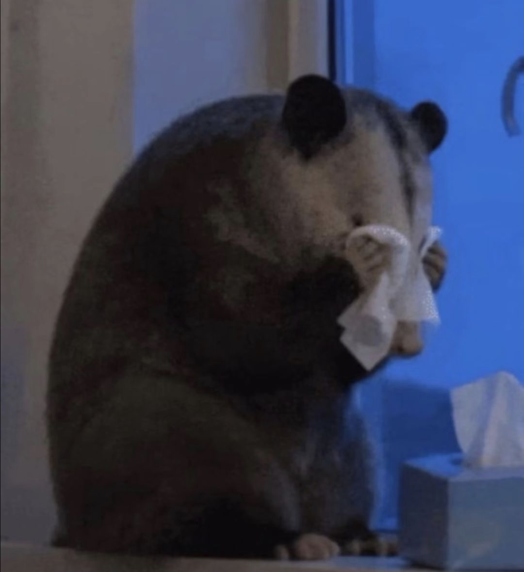 🆘我一直在哭…(有剧透,慎看❗️) 1