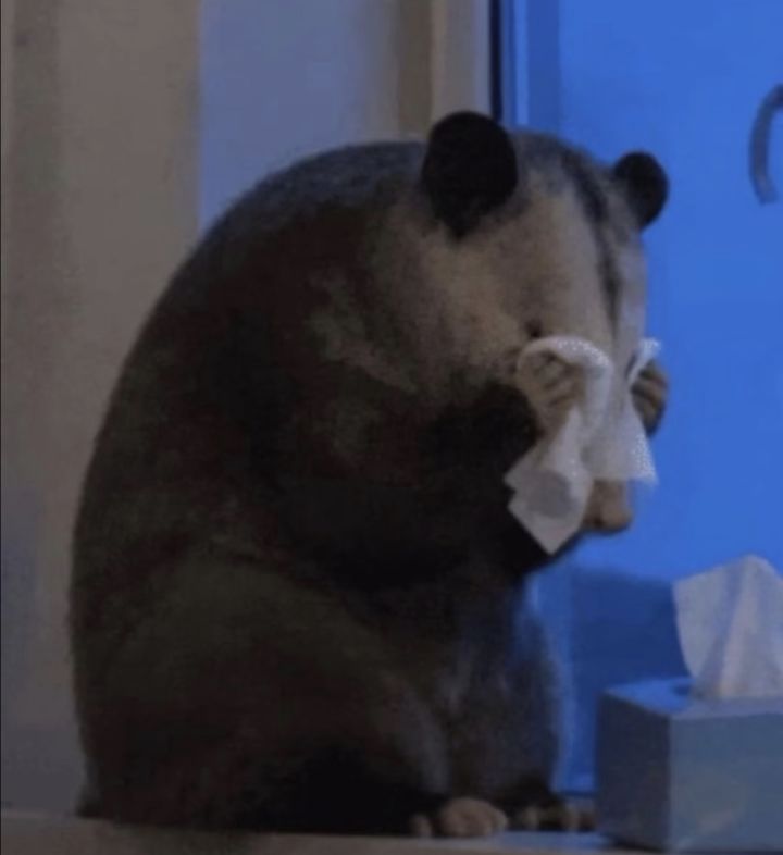 🆘我一直在哭…（有剧透，慎看❗️）截图
