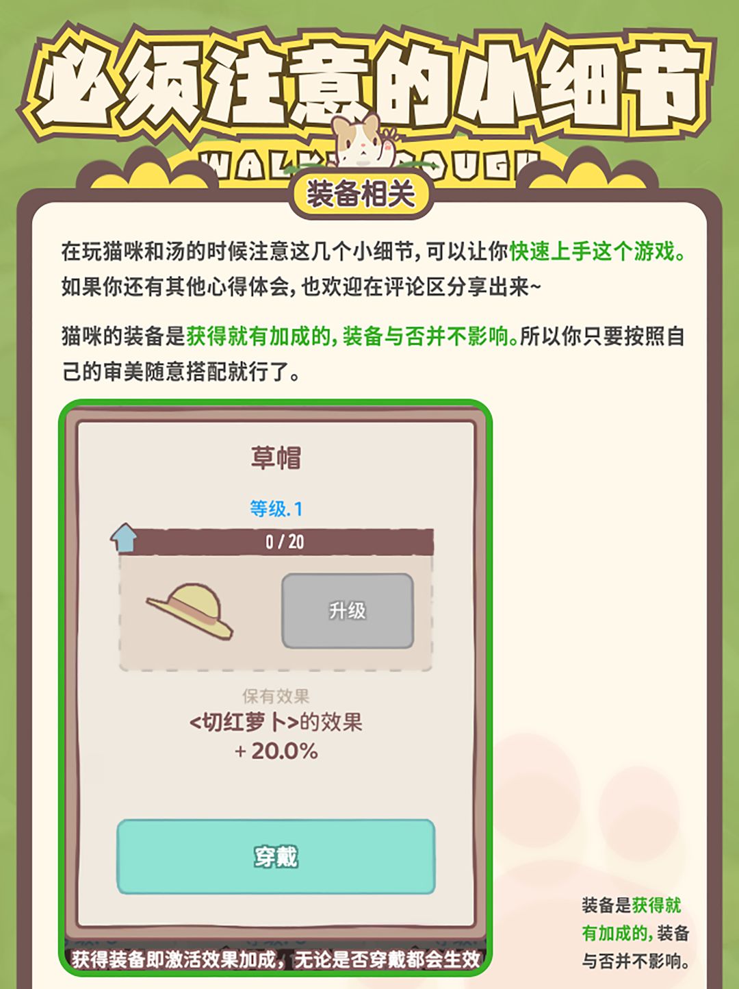 猫咪和汤,几个你必须注意的小细节 2