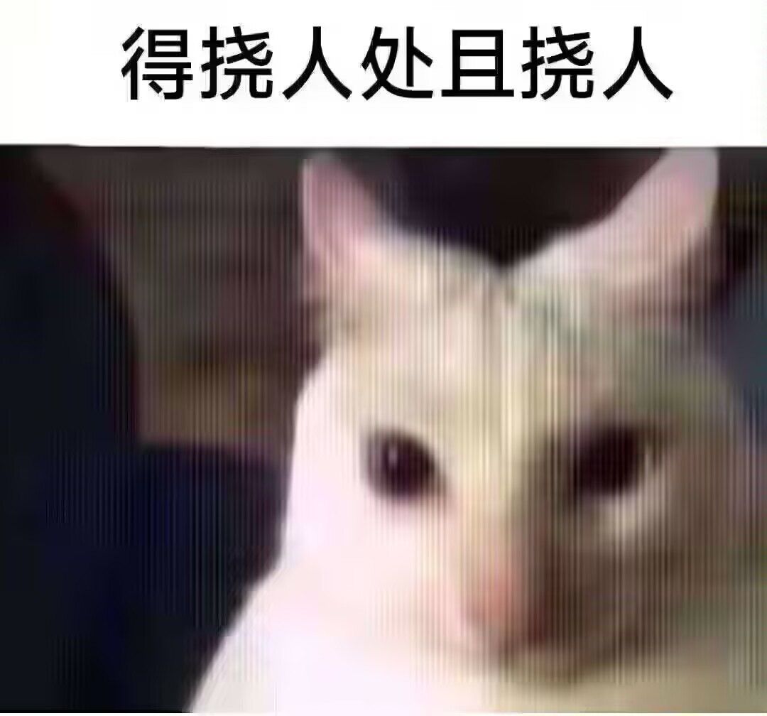 感受到了专家服的快乐 1