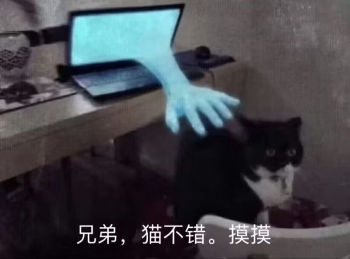 【第155期周报:新内容推进】截图