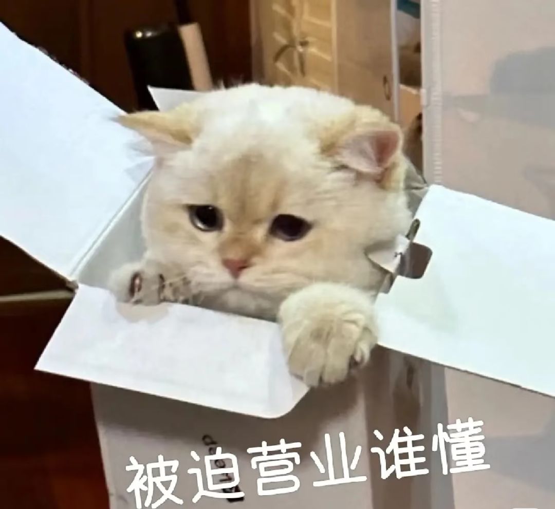 被梦梦压榨的一天(被迫营业招人中……) 1
