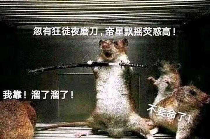 冲不冲?截图